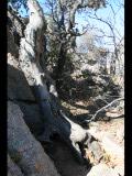 Enchanted Rock Lano TX